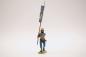 Preview: Lansquenet standard bearer french